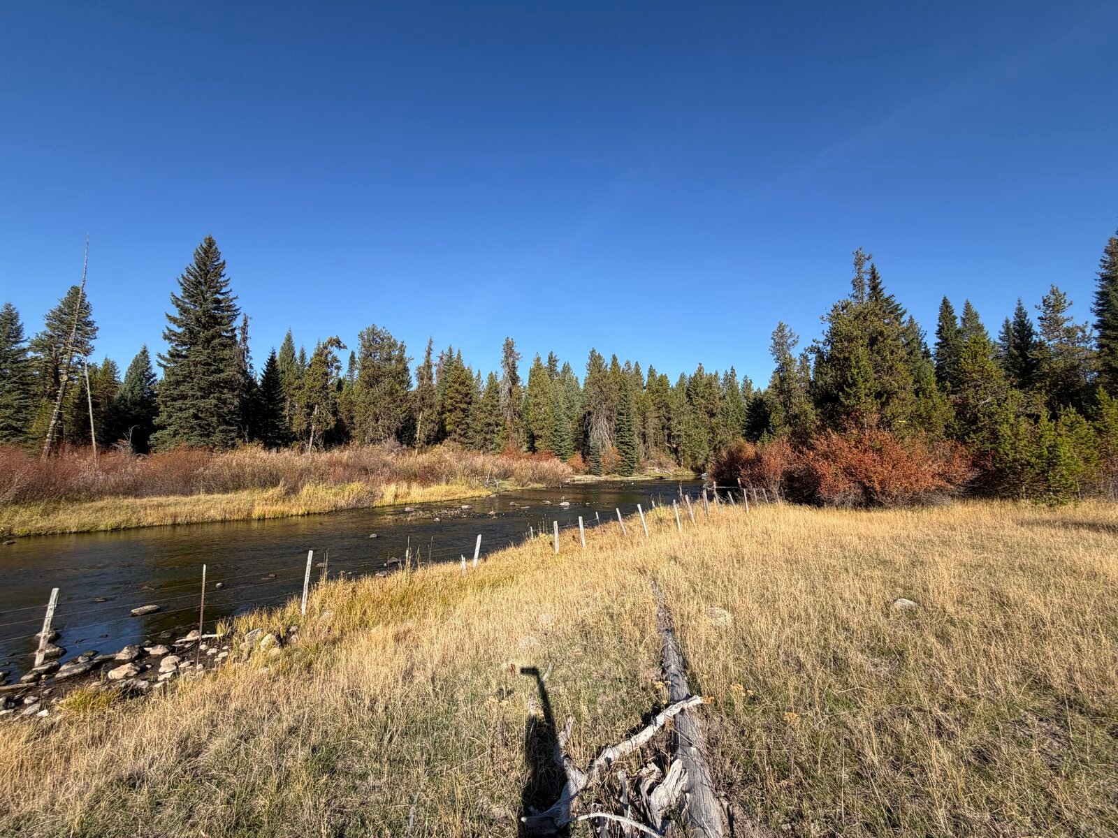 The creek running past grass banks and old fence posts