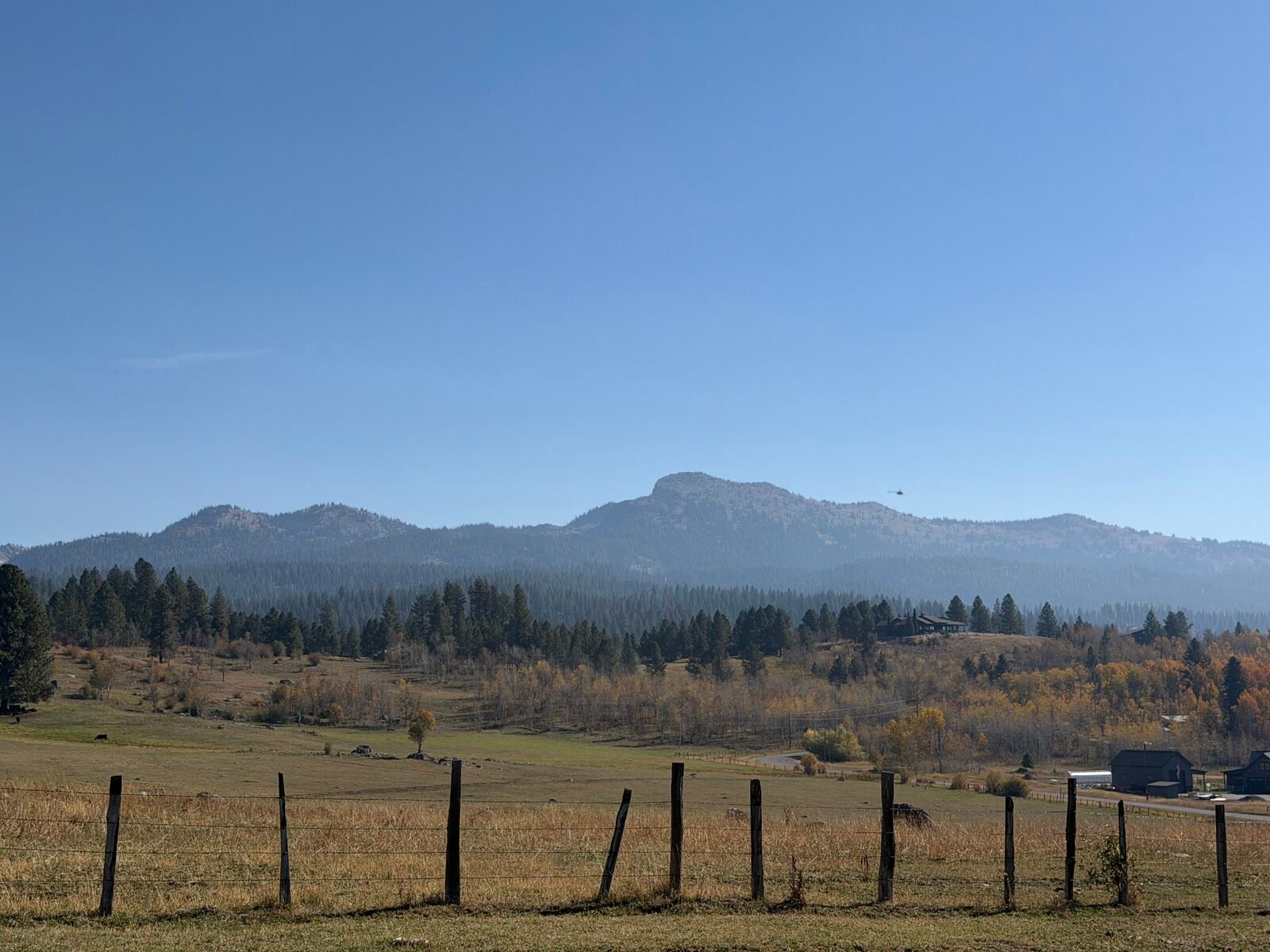 The old fence line with the hills beyond