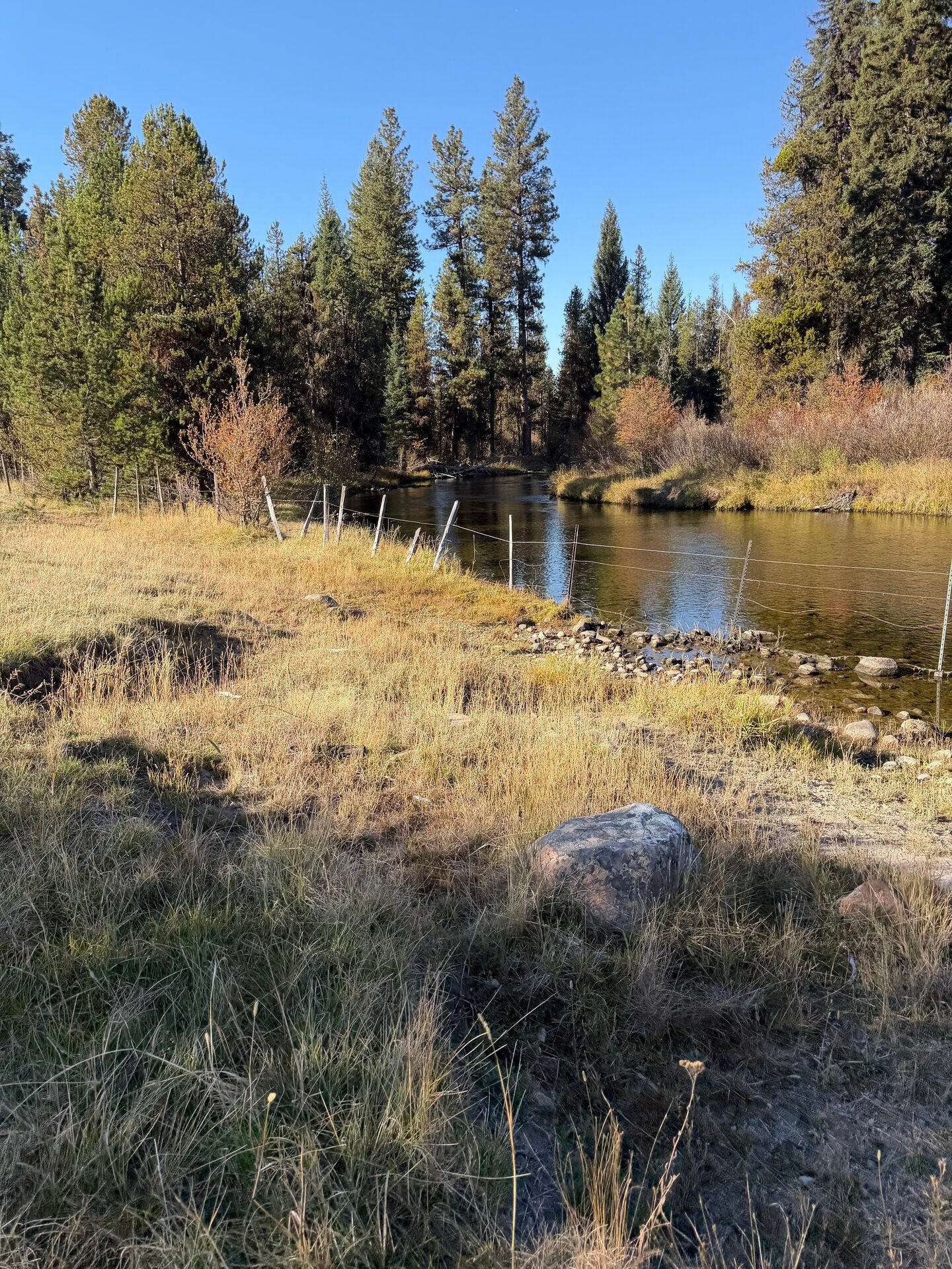 Lake Fork Creek bending past grass banks and old fence posts