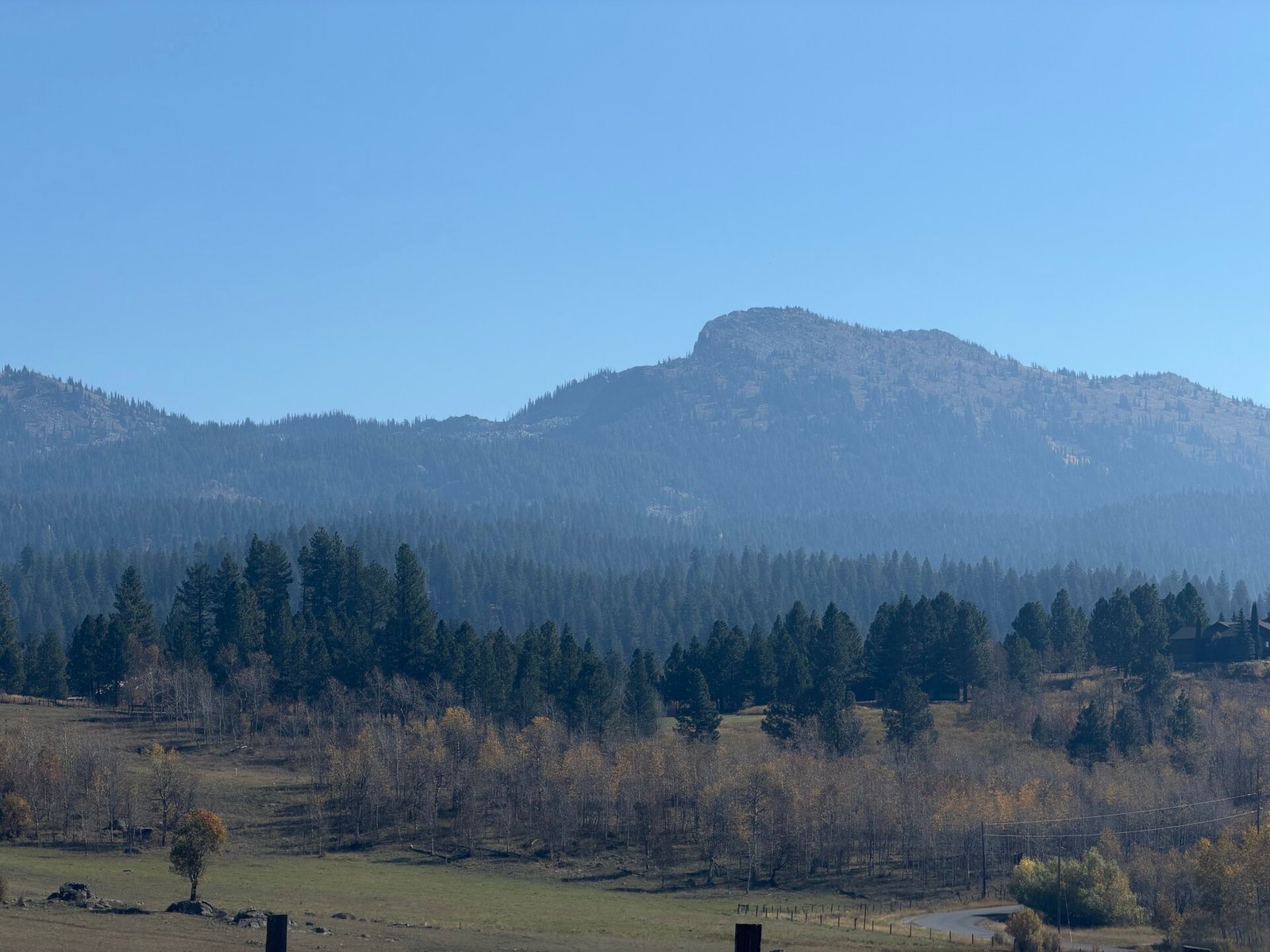 Jughandle Mountain rising over the timber beyond the ranch