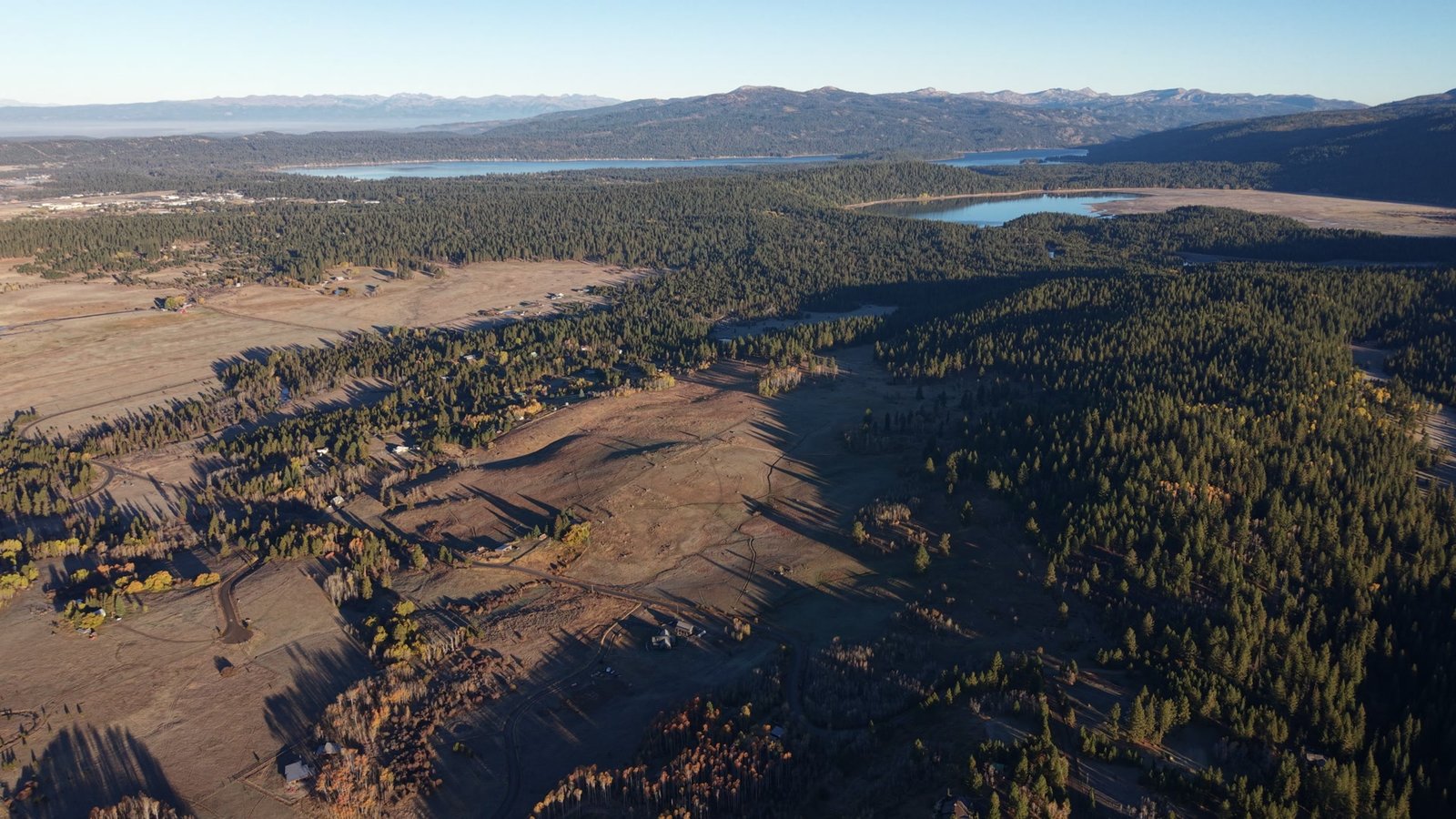 Old-growth timber and meadow edge at Shaw Ranch